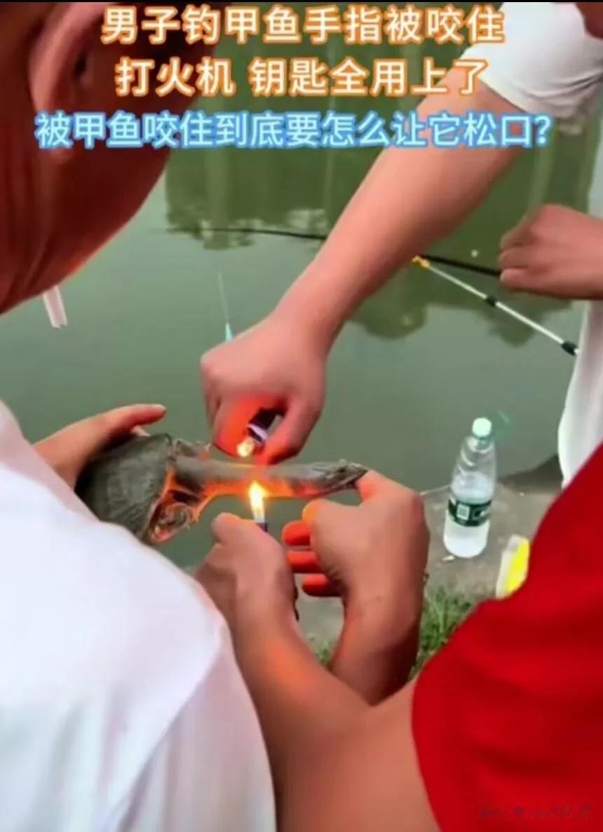 钓鱼男子被乌龟咬了手指头，有小妙招让它撒嘴吗？[泪奔][捂脸]


      