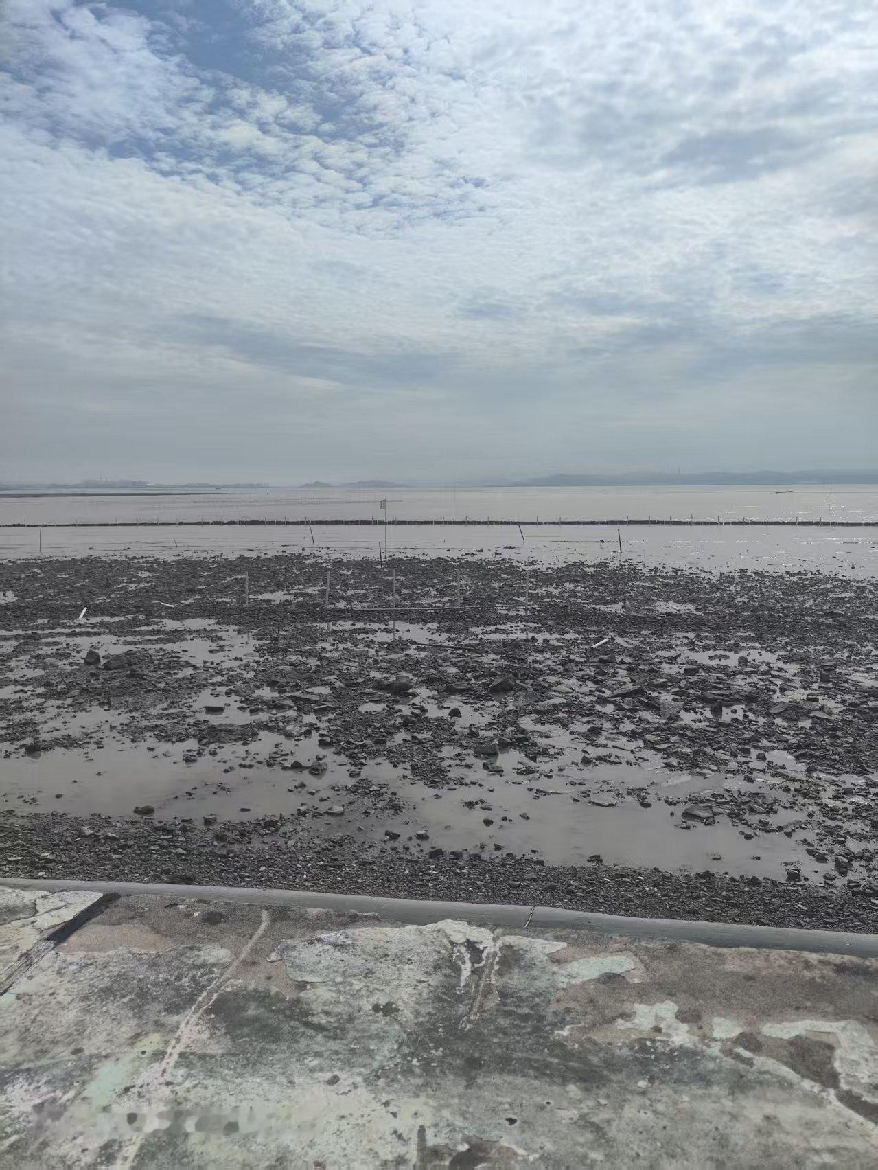 想不想抽空来这乐清游玩呀？这里靠着大海，风景格外舒服。

看这潮落时分，我们就去