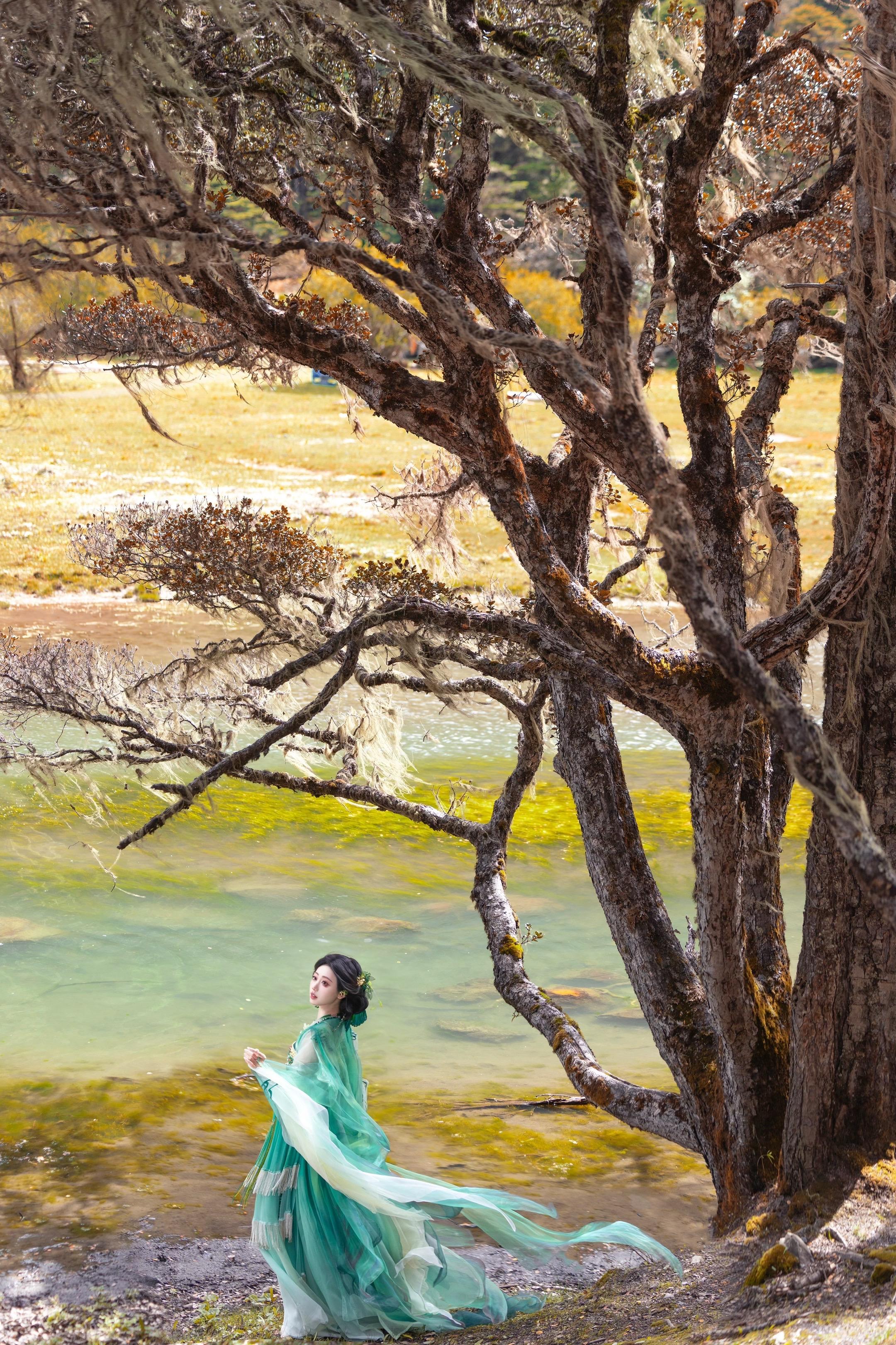 ‘ 苔藓森林的呓语 ’真的很像童话世界 仿佛推开绿野仙踪的魔法之门 去...