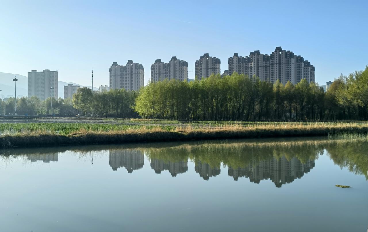 分享一张最美的风景图片当归之乡岷县的湿地公园一角，在晨光的照映下，湖面的树木，高