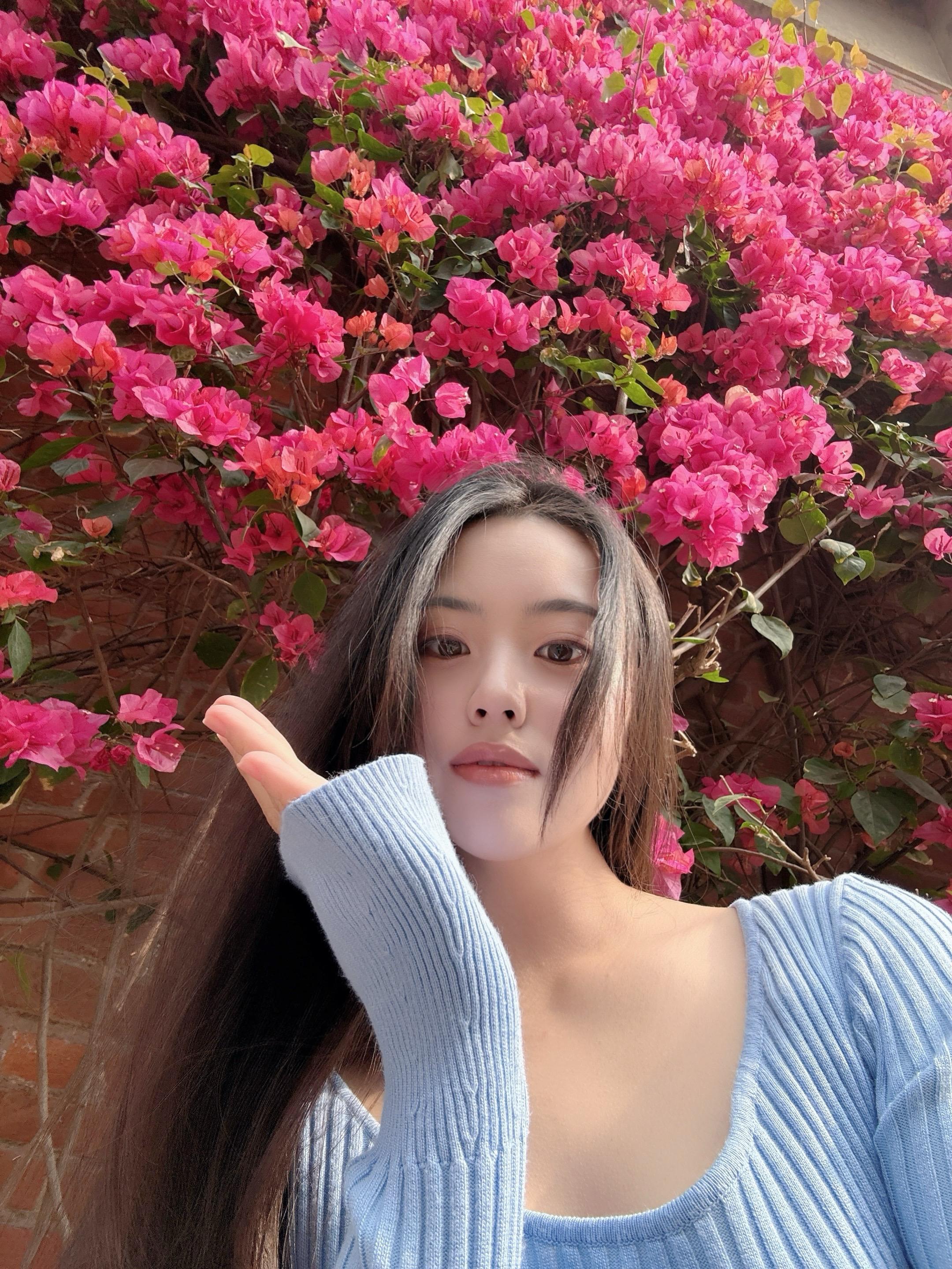 “城北的花开了几个冬夏 城南的你还好吗”