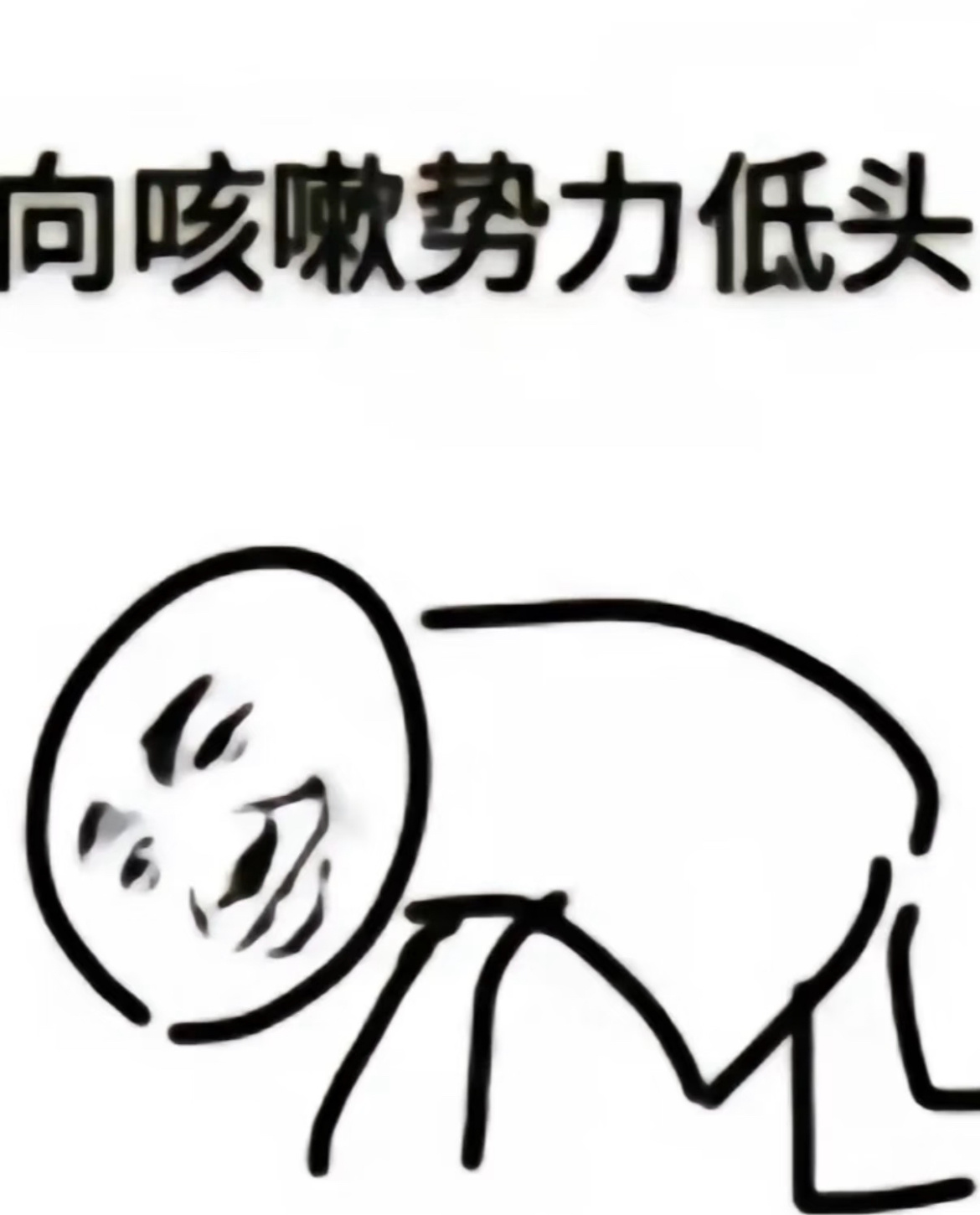 生活手记已经一个星期没喝过冰咖啡了甚至拿出了保温杯喝热水