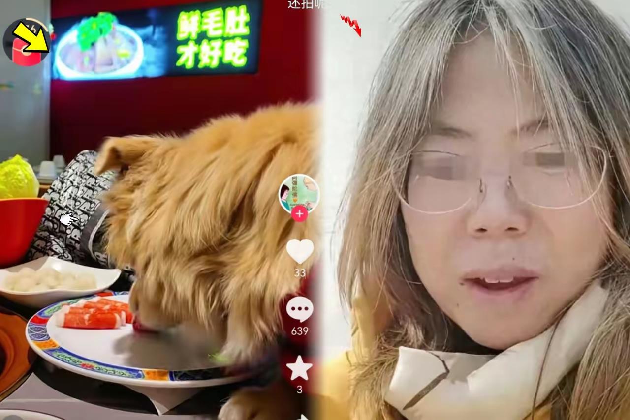 一盘肉，估计得几十几万，就是因为她的缺德，让狗，人同餐，惹出这么大的事情。
这种