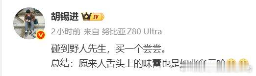 不好吃就不好吃呗，胡锡进还用如此恶心的语言来描述！ ​​​