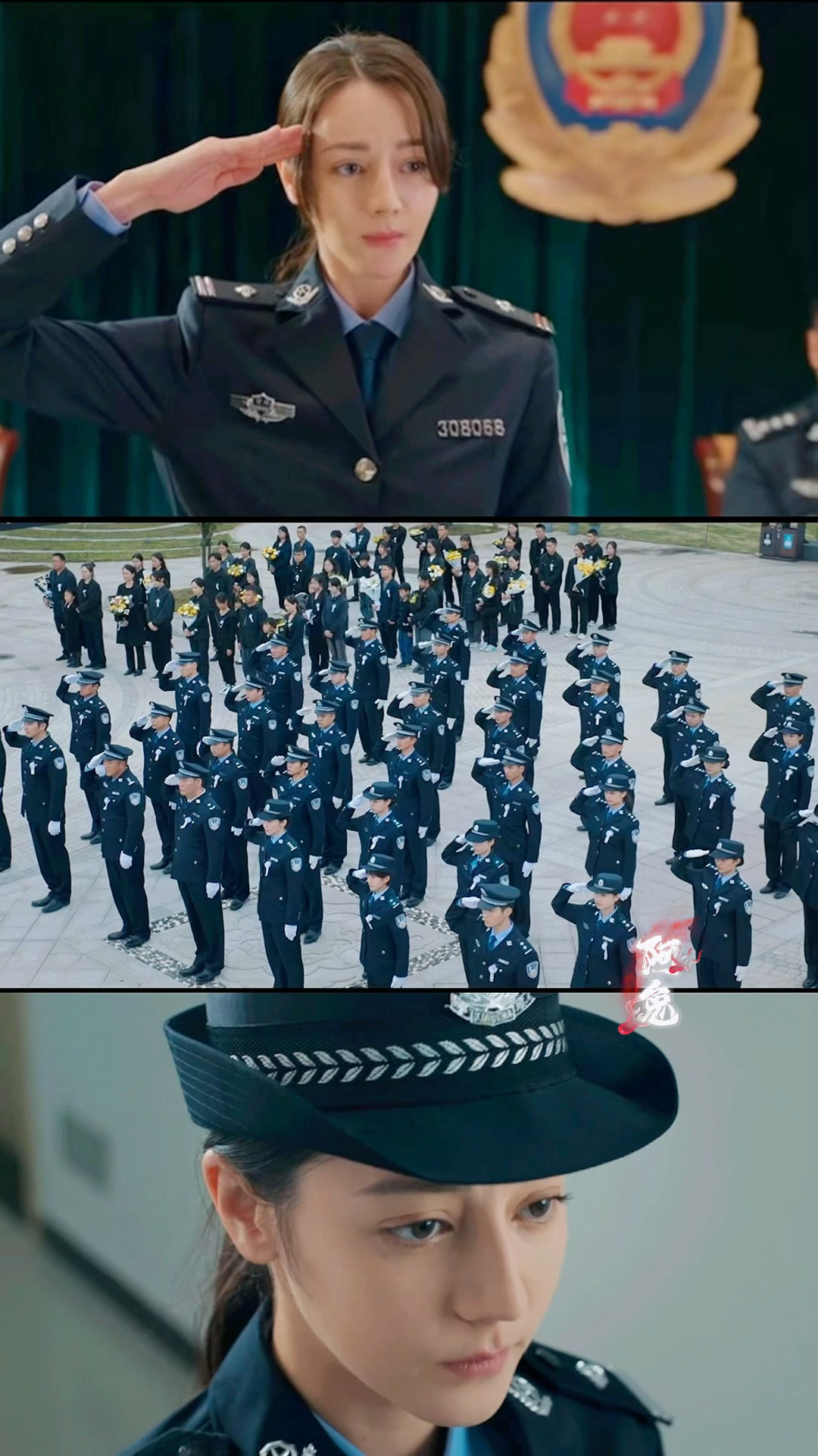 利剑玫瑰🌹7月28日CCTV-8 ​​​