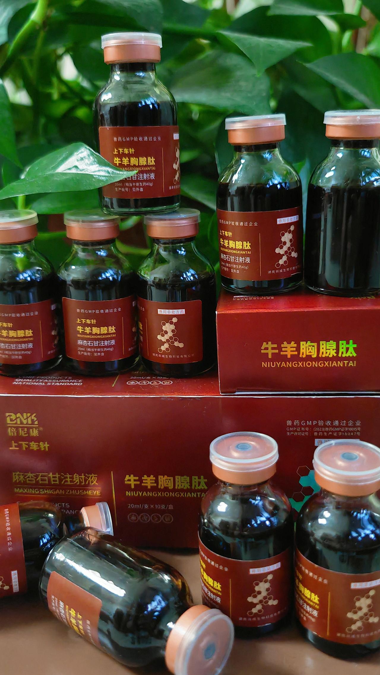 养羊人 农村养羊