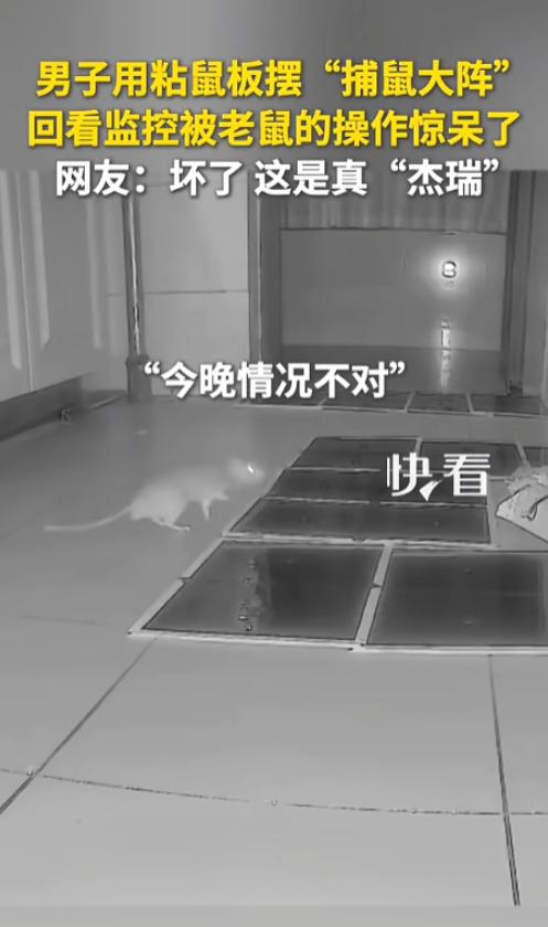 “看麻了！”8月4日报道，广东，一男子用粘鼠板摆了个捕鼠大阵，中间放上诱饵，一圈