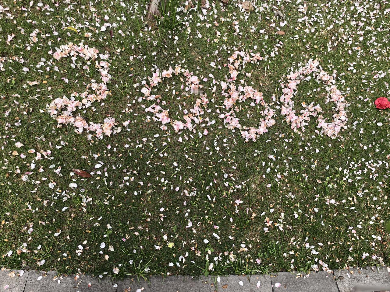 看见一份心意，我觉得还挺贵，觉得自己买得起又买不起，早上要走一段人来人往的小道，