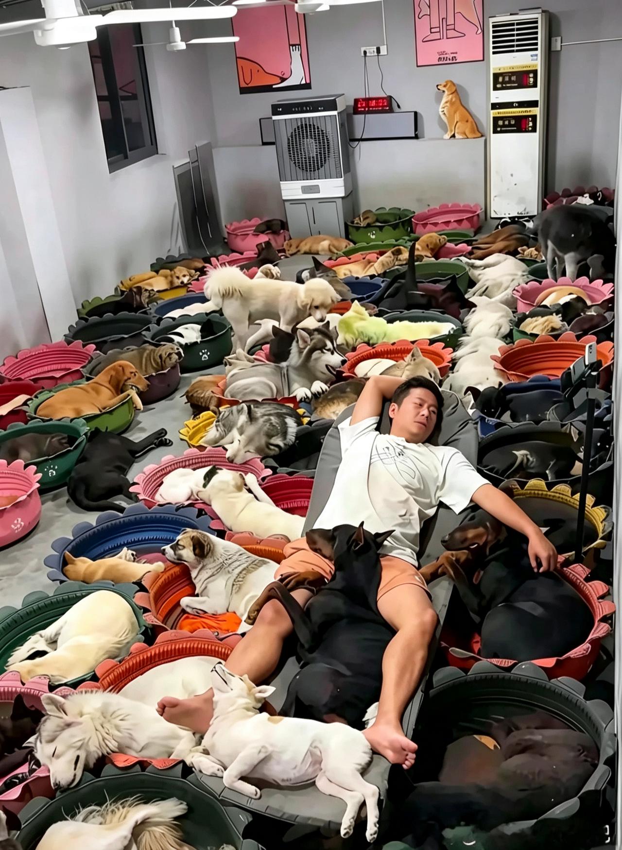 这才是无声的炫富，后宫佳丽三千！
