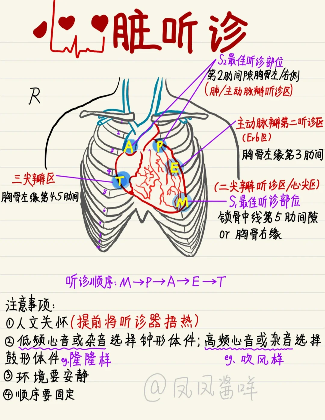 📖 医学生笔记 | 心脏听诊 建议点赞收藏
