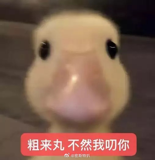 关晓彤戒指我真受不了了，谁的8年不是8年，男方粉丝干嘛老在gc上面哭丧卖惨？？难