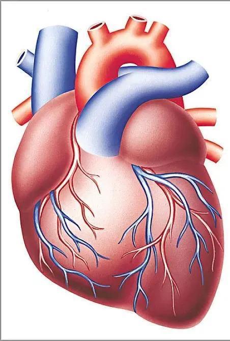 老人年纪大了，就必须要收敛自己的脾气，这样在子女的家里才能过得长久。
我爷爷，年