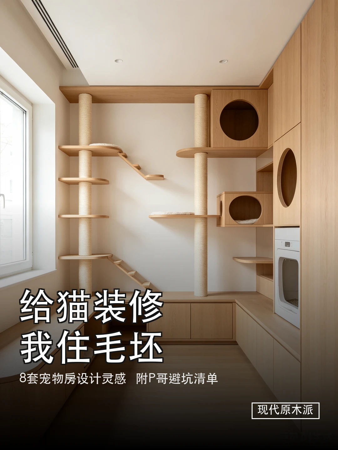 家里宠物的房间，比主卧还有设计感🐱