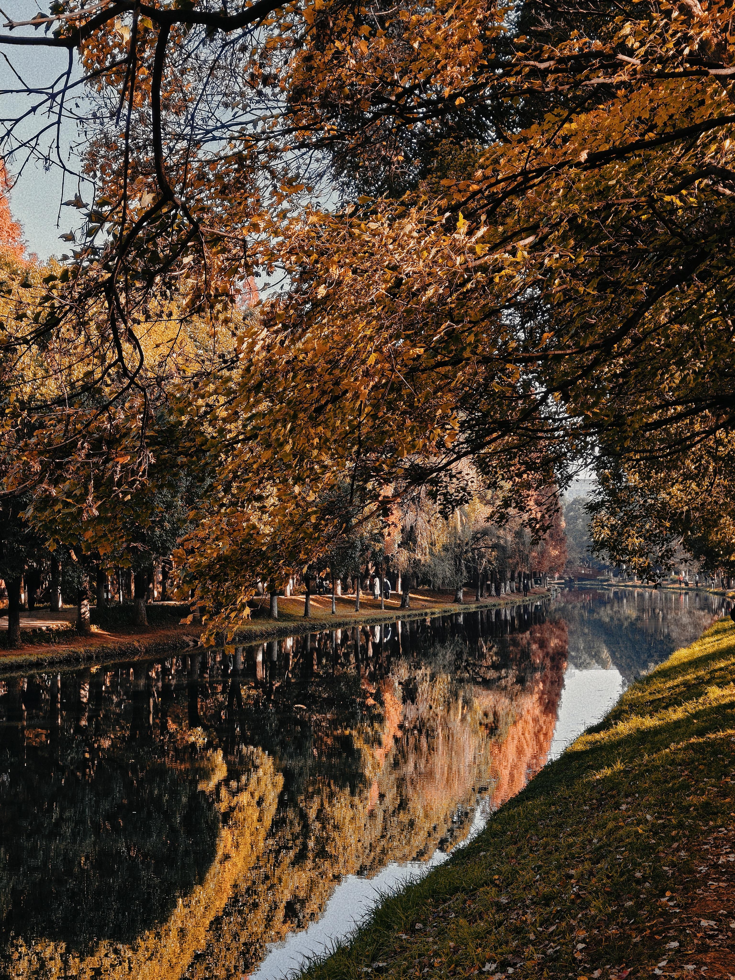 秋叶下轻盈的舞者 