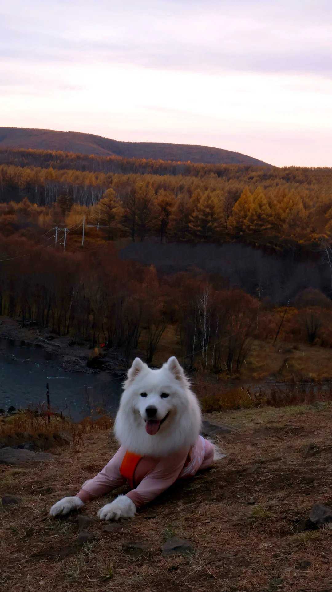 浙A小狗自驾内蒙古Day6 终于到阿尔山了