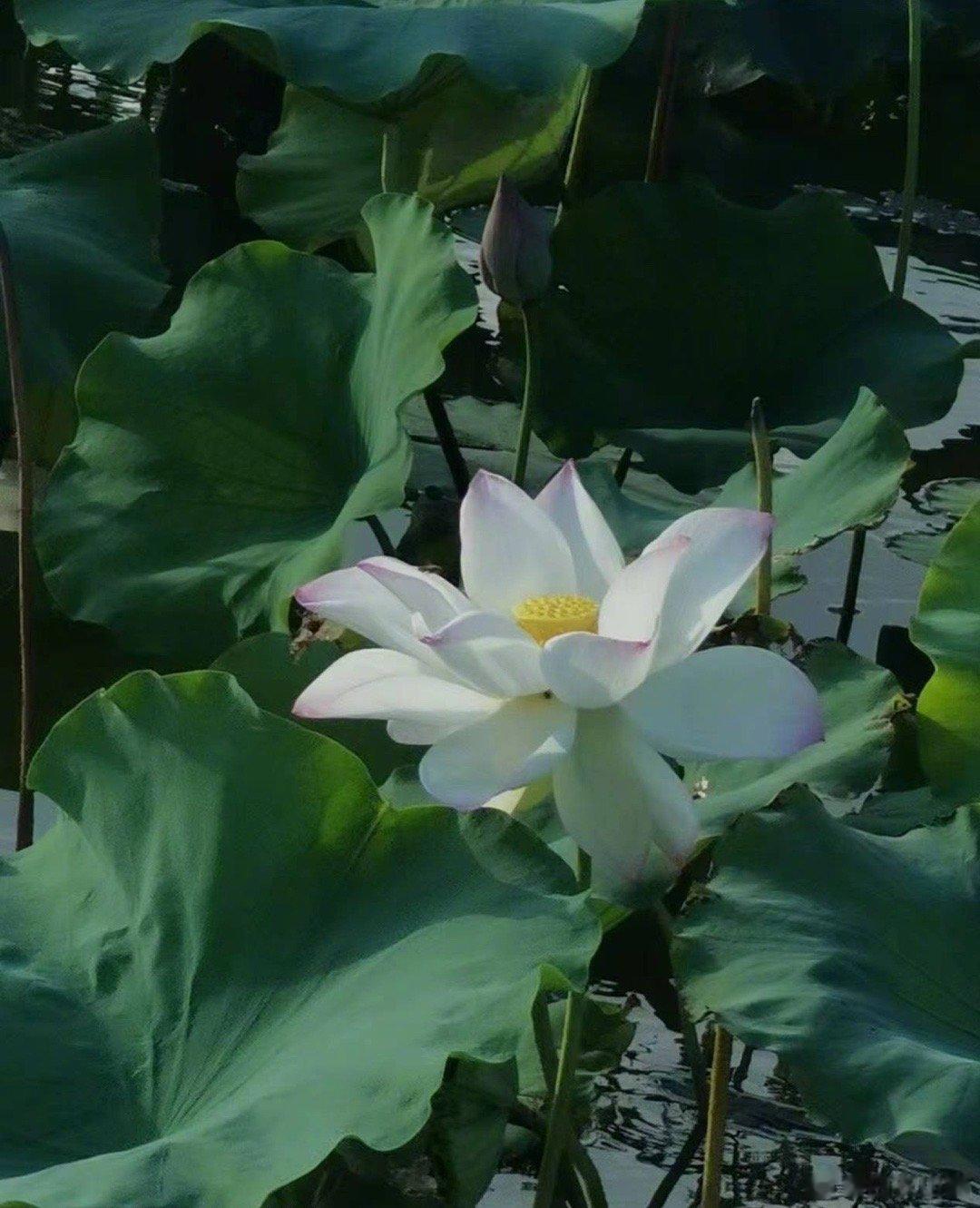 她30岁，腹痛3小时，由老公陪同着来门诊看病。问完病史，当着她老公的面，我让她躺