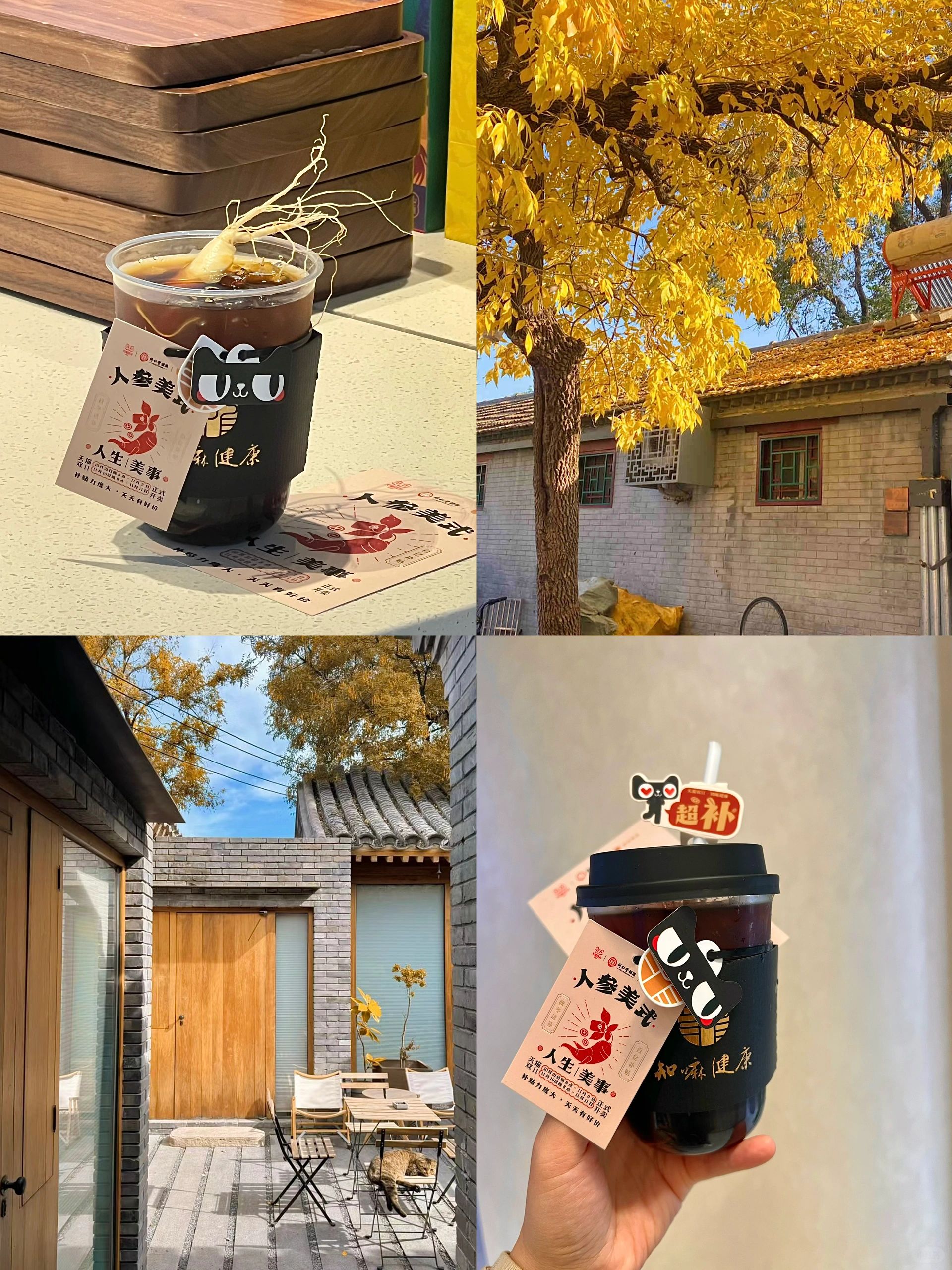 北京的秋天🍂喝到了进补的人参美式☕️