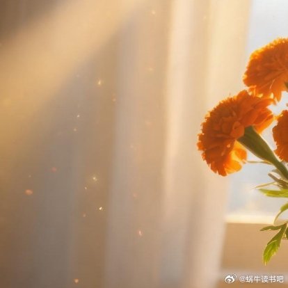 好运不是一件突如其来的事。它是你早起拉开窗帘那一刻，光就进来了；是你不慌不忙喝完