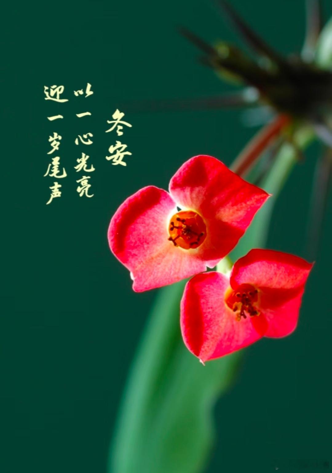 时光悠悠，如梦似幻，悄然间岁月已至尽头。回首往昔，风雨兼程，皆化作心中一抹淡淡的