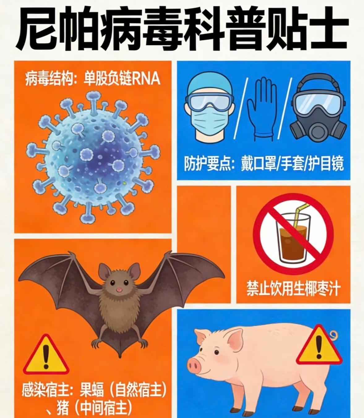 新华社援引世界卫生组织等机构介绍，尼帕病毒能攻击人的肺部和大脑，症状包括发烧、头