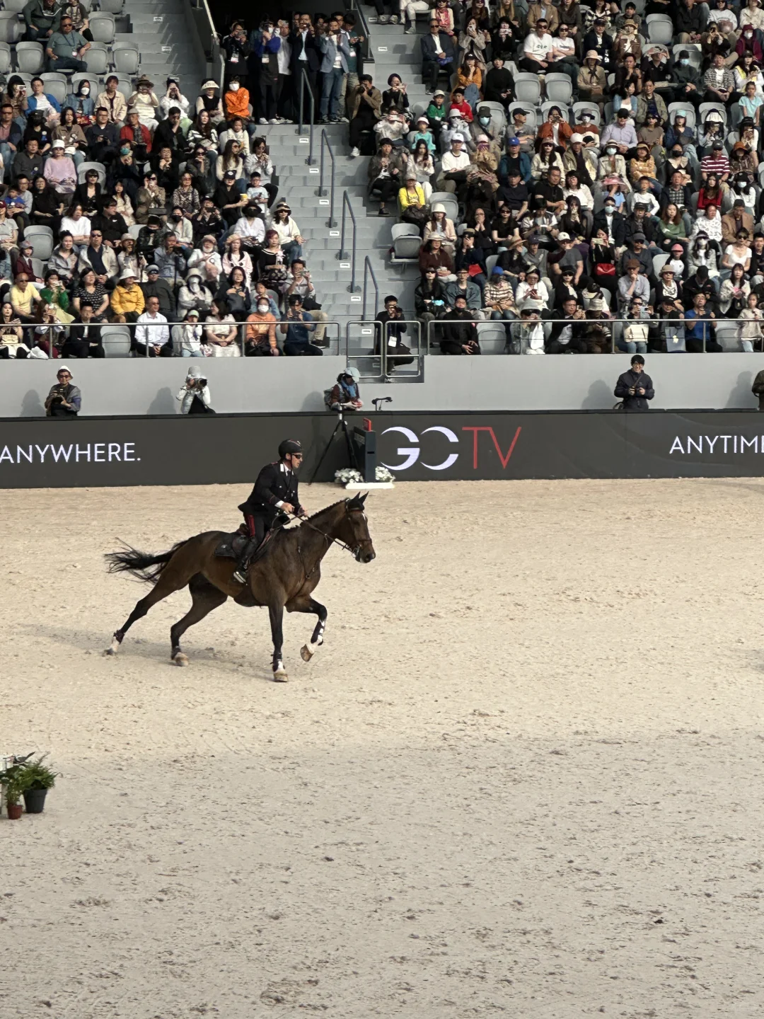 马术 生活需要分享欲 马术比赛