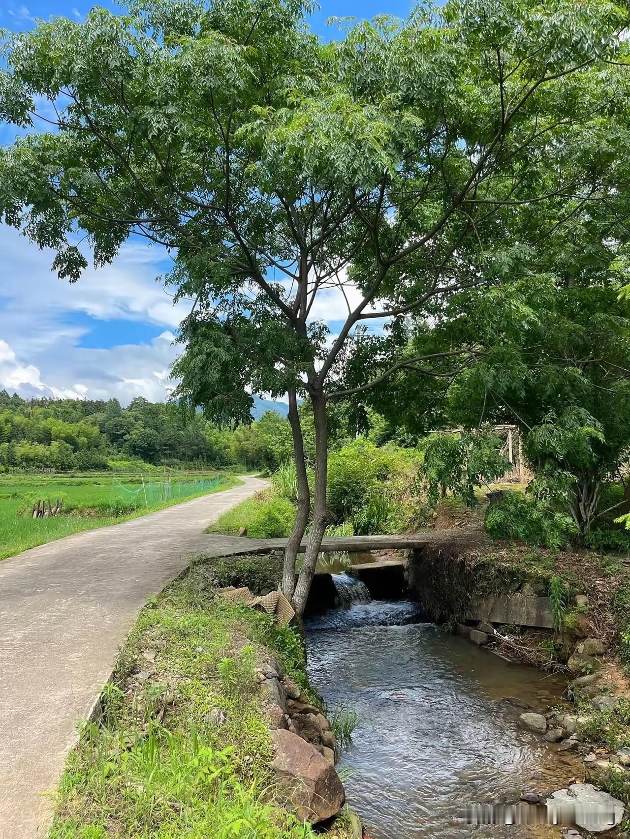 走多远都得回家，这是谁的回家之路？