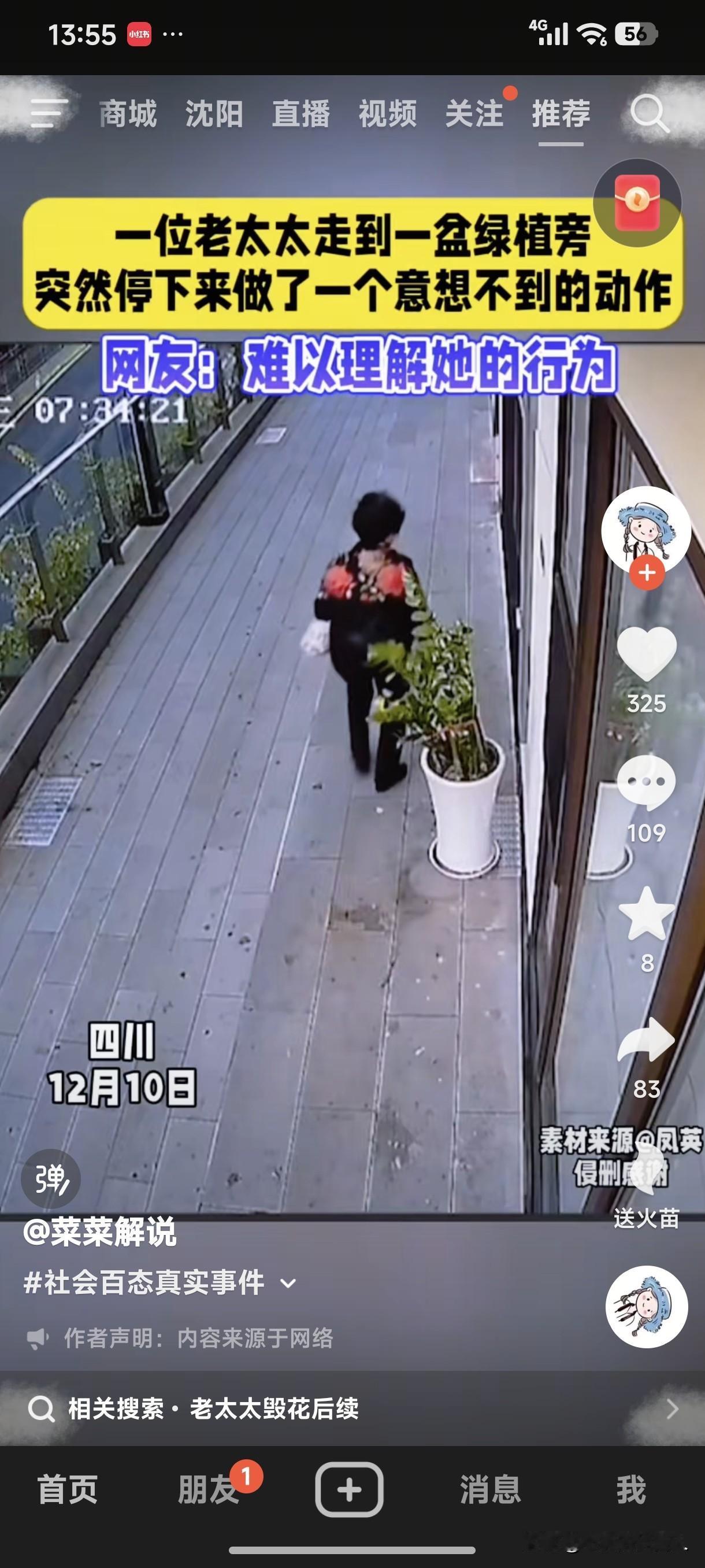 总有人说“不是老人变坏了，是坏人变老了”。看见老人的恶意毁坏花瓶的行为，我深深体