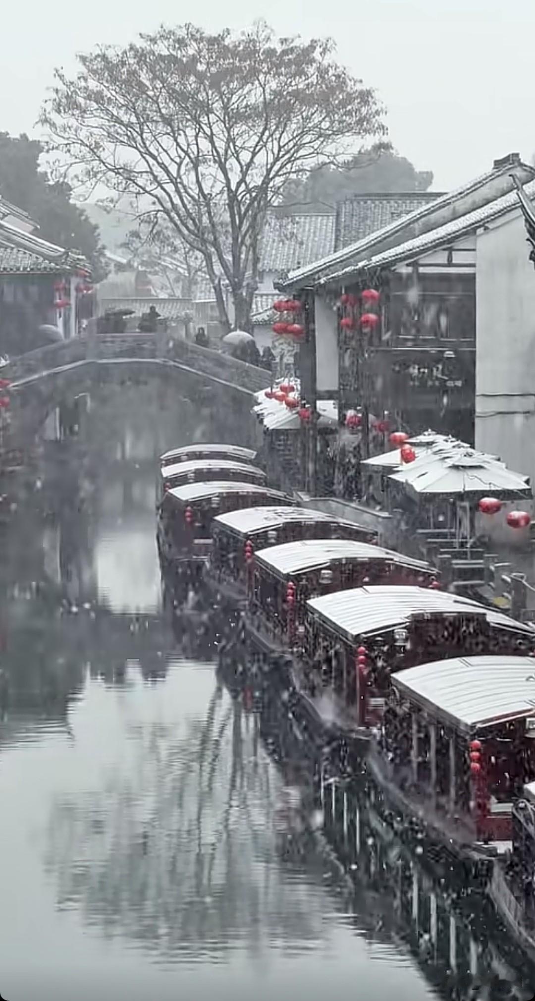 七律·雪
本是瑶台云外客，
为酬尘意下寒岑。
轻沾梅萼添清韵，
漫覆松枝缀素襟。