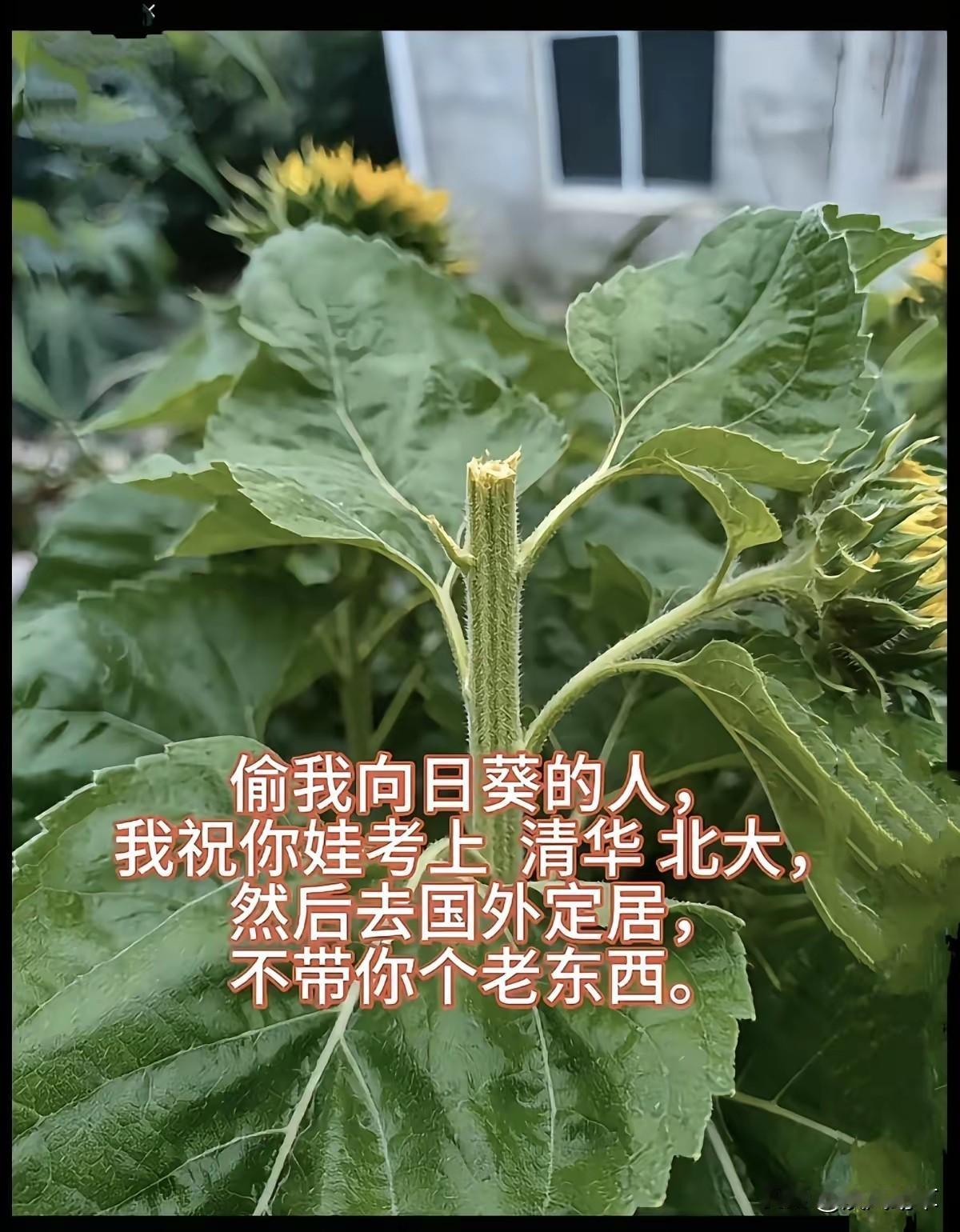 笑死了！[呲牙]
孩子是孩子，家长是家长，主打一个恩怨分明！[我想静静]