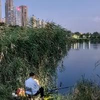 我的今日状态：😁轻松愉快
我这里的天气：☀️晴天
暮色漫过湖面，就躲进芦苇躲一