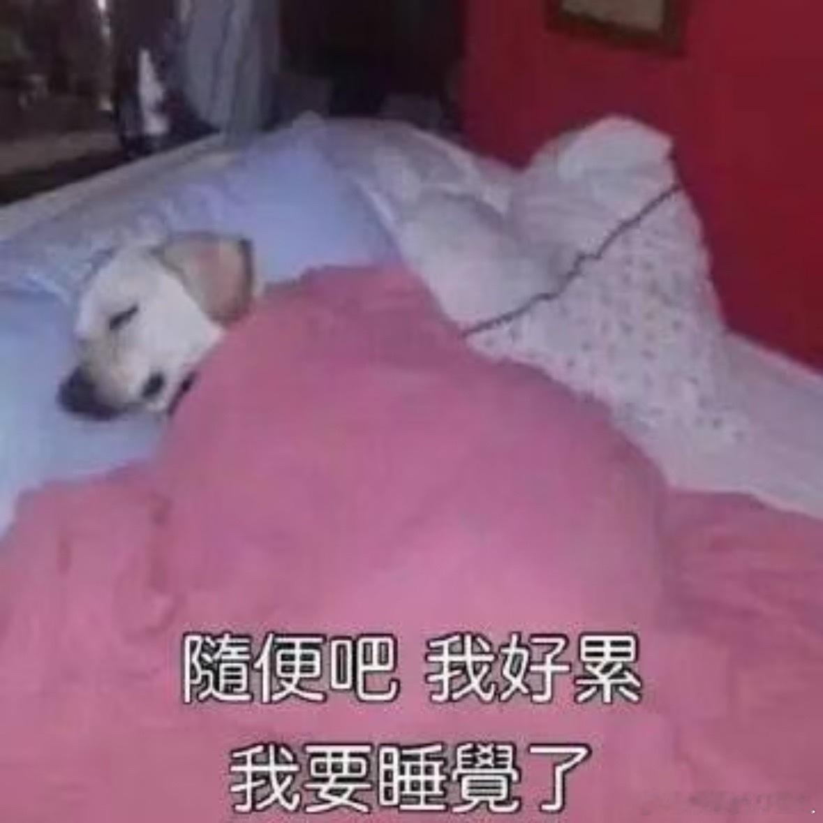 我现在真的离不开午睡那半个钟，不睡午觉对我来说是件很痛苦的事情，我那一整个下午都