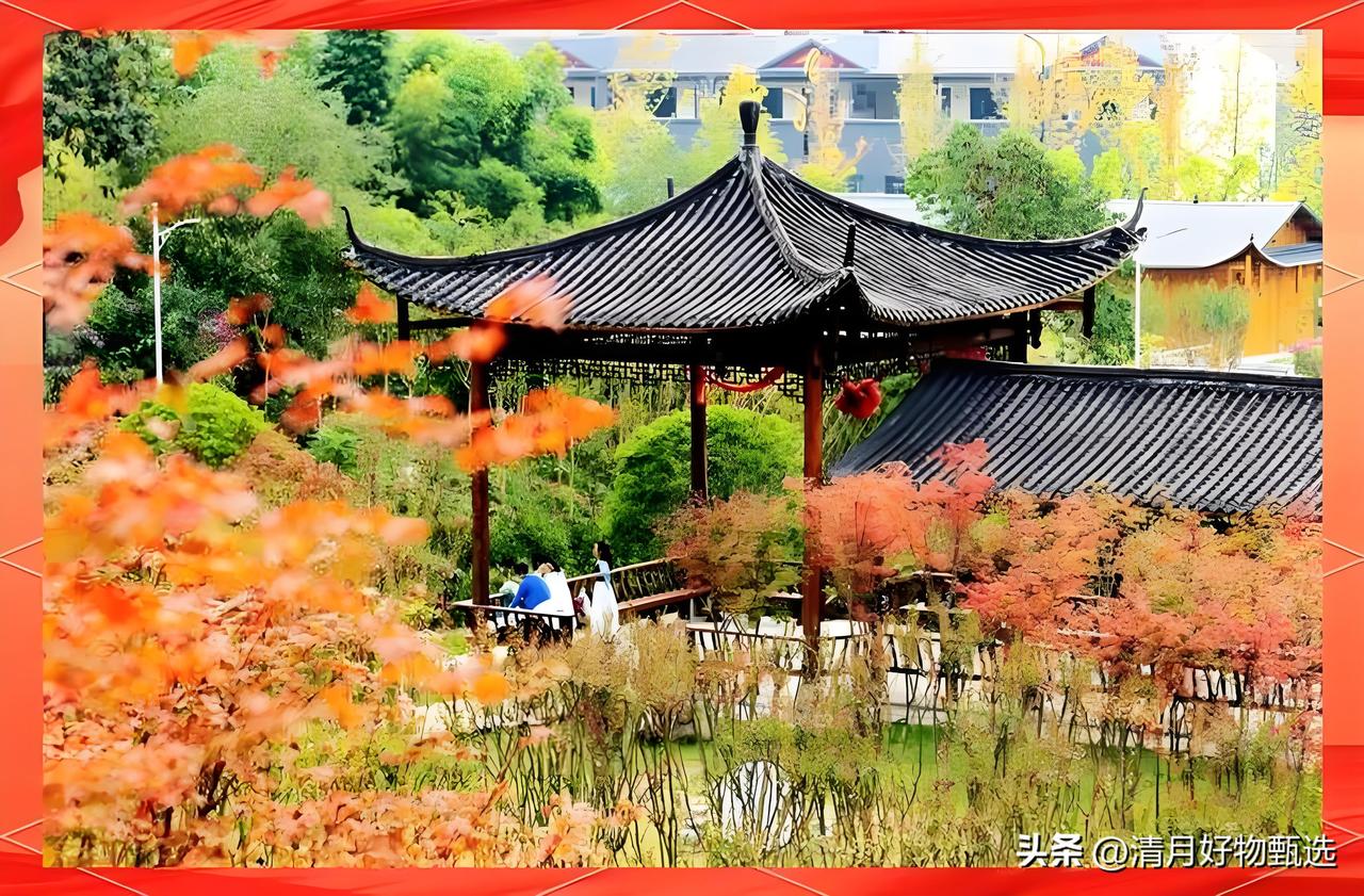 春日的公园如同一幅生动的画卷，阳光透过繁茂的树叶洒下斑驳的光影，微风轻拂，带来阵