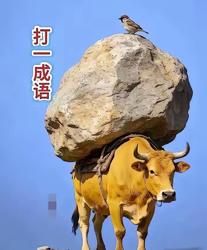 百分之九十九的朋友都猜错了！根据下面这幅图片，说出一个恰当的成语，有人说应该“压