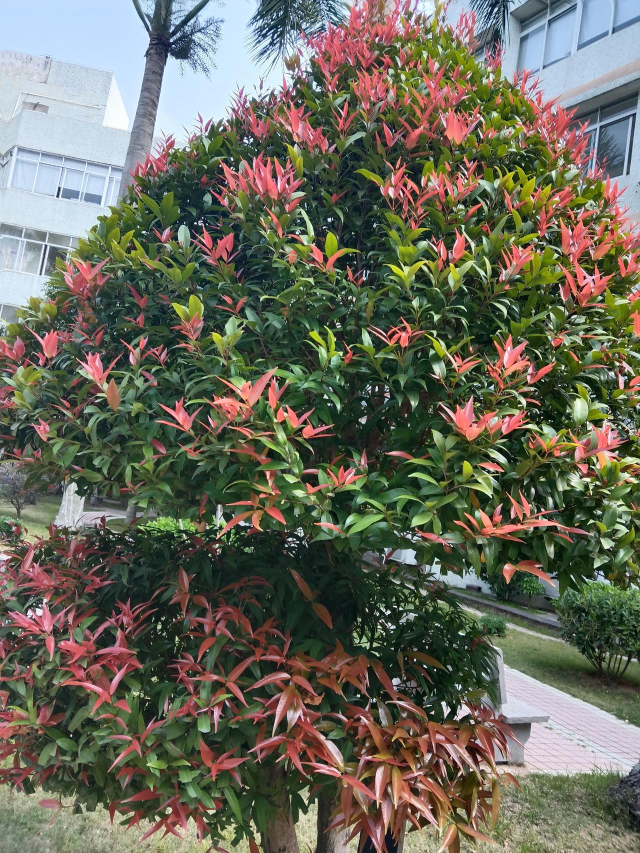 给自己一句话，你会说什么? “好好学习，把身体照顾好”，这简简单单的一句话，却是