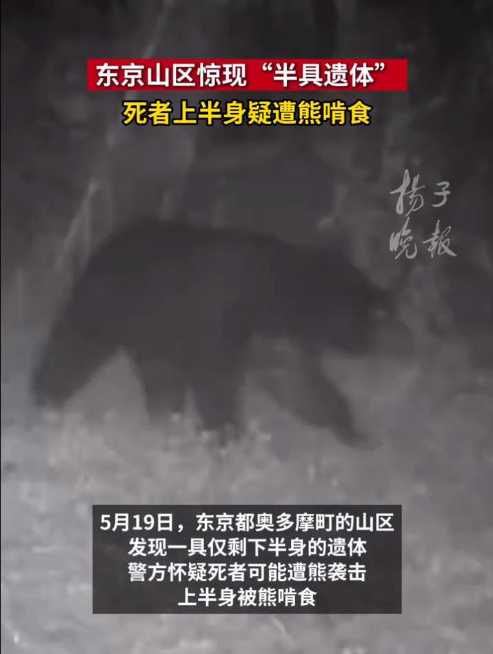 2026年5月，日本连续爆出两起让人头皮发麻的熊袭击死亡事件。

2026年5月