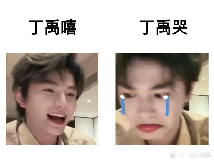 被丁禹兮的多种解读萌哭了。太有才了这群海棠姐姐， 