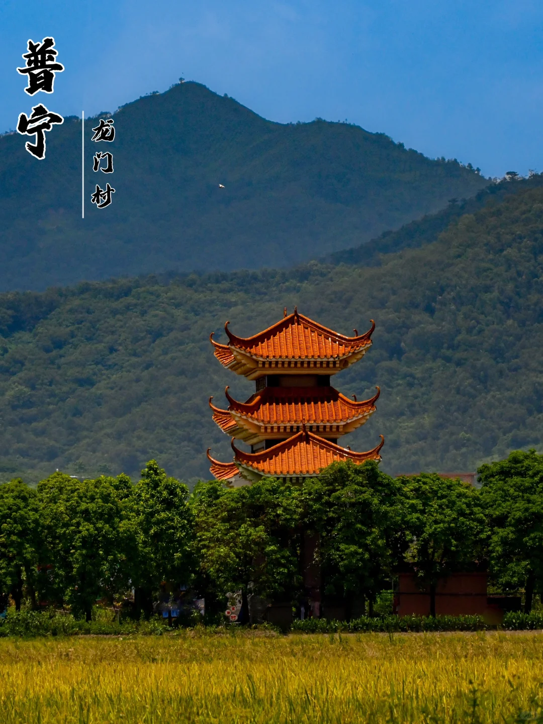 左滑，看乡门正面