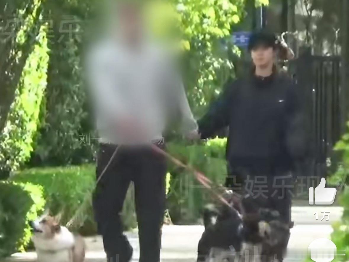 孟美岐恋爱孟美岐这回被拍到的恋爱画面挺甜的，牵手逛街还遛狗，看着状态很松弛。说实