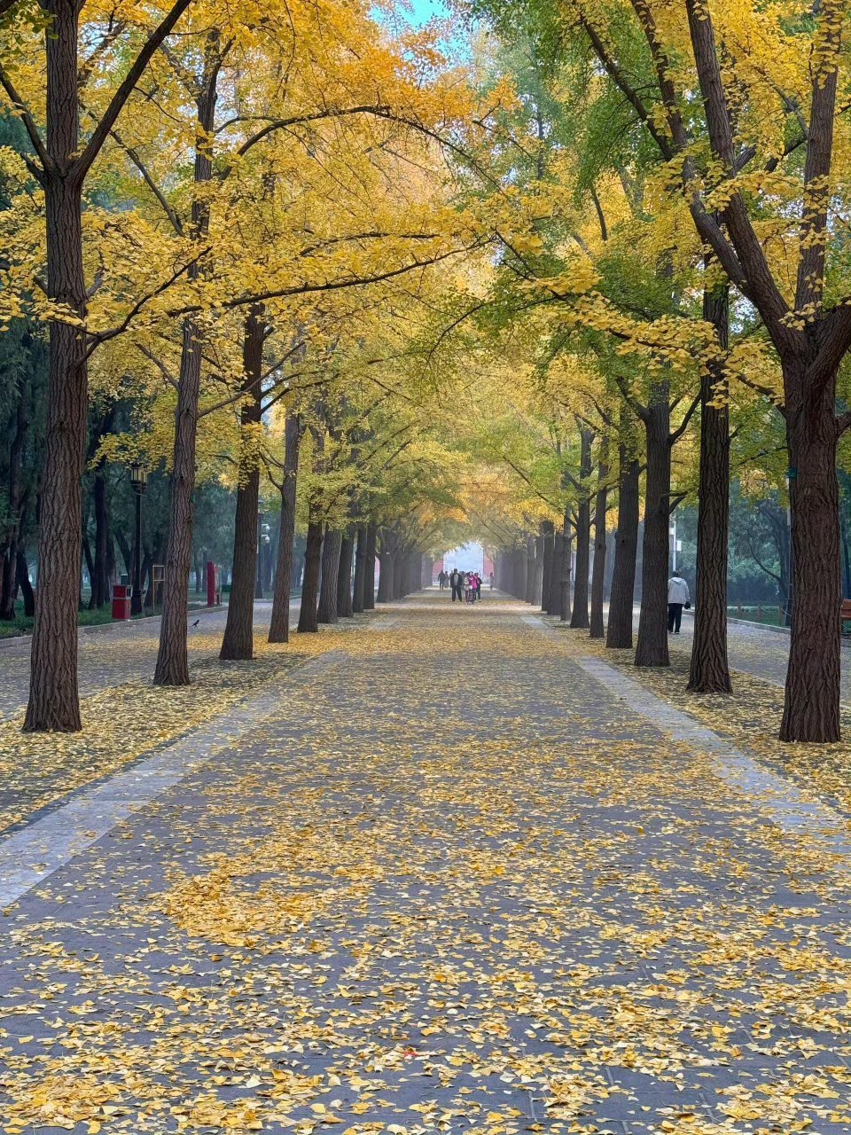 ☁️好吃好玩好天气拍下来 会记得更久一些📸 