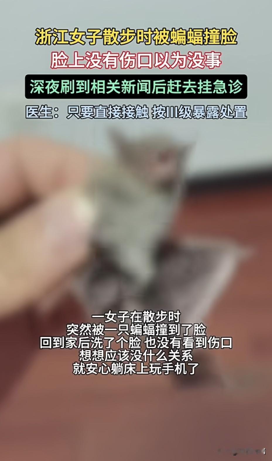 浙江诸暨赵女士夜晚散步被蝙蝠撞脸，脸上没破皮没出血，医生却果断开出4支狂犬疫苗加