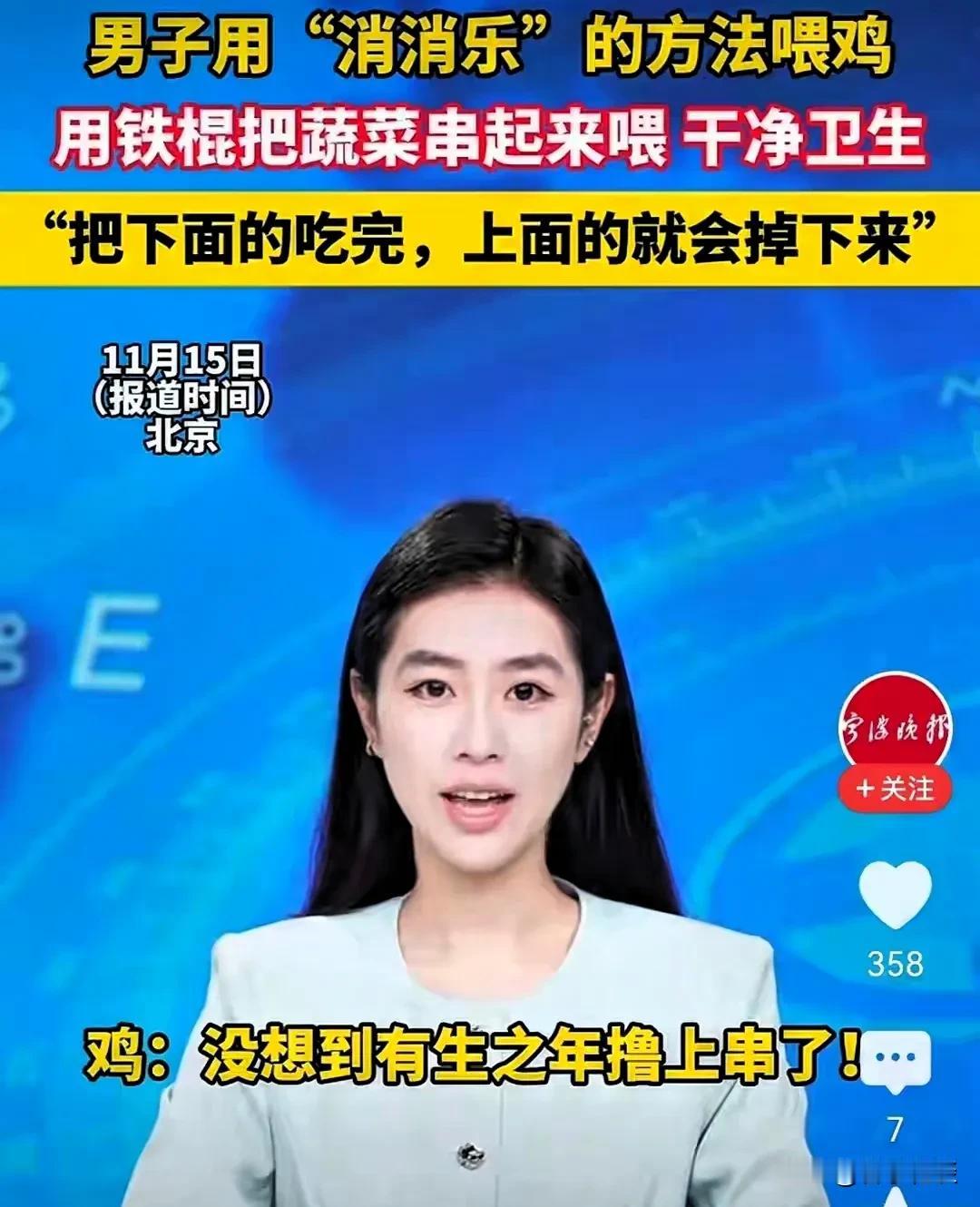 鸡界“消消乐”上演！有一大哥出招绝：1500只挑食鸡被治得服服帖帖
这帮鸡专挑嫩