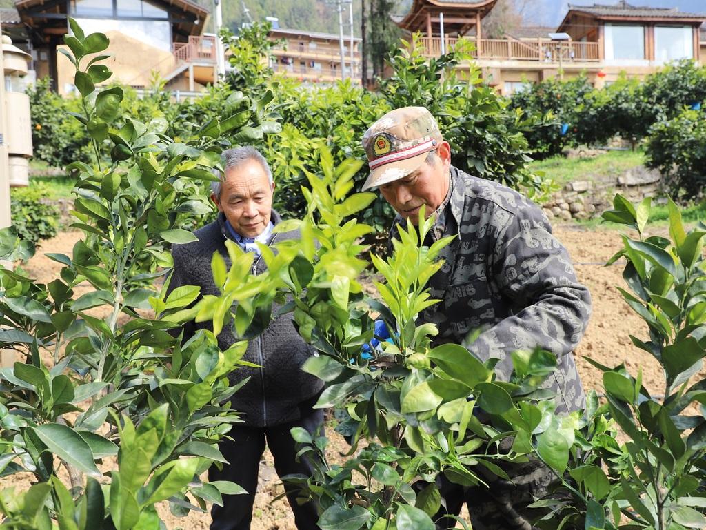 村书记家里竟放着一台自助取款机？1997年，毛相林带领村民，用肩扛手提的原始方式