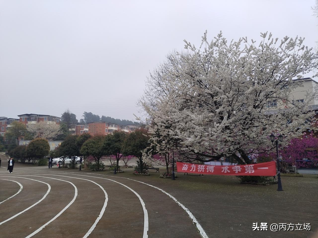 贵州中医药职业学校，学校环境非常优美。学校高度重视实训教学，配备完善护理实训设施
