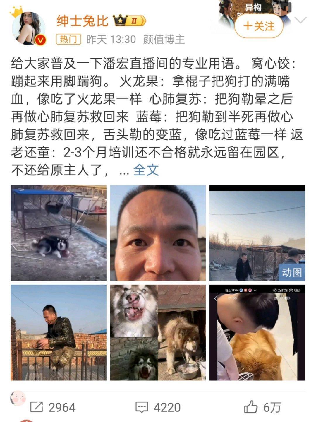 潘宏 我其实也不太能理解，为什么这种人会突然爆火[二哈] 