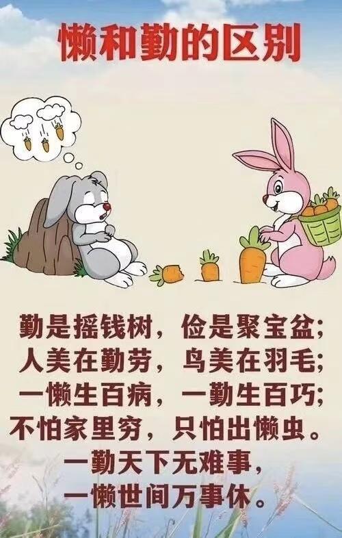 写作干货：自带画面感的双轨句写法，氛围感一下子就拉满了！
我们身处的世界，每时每