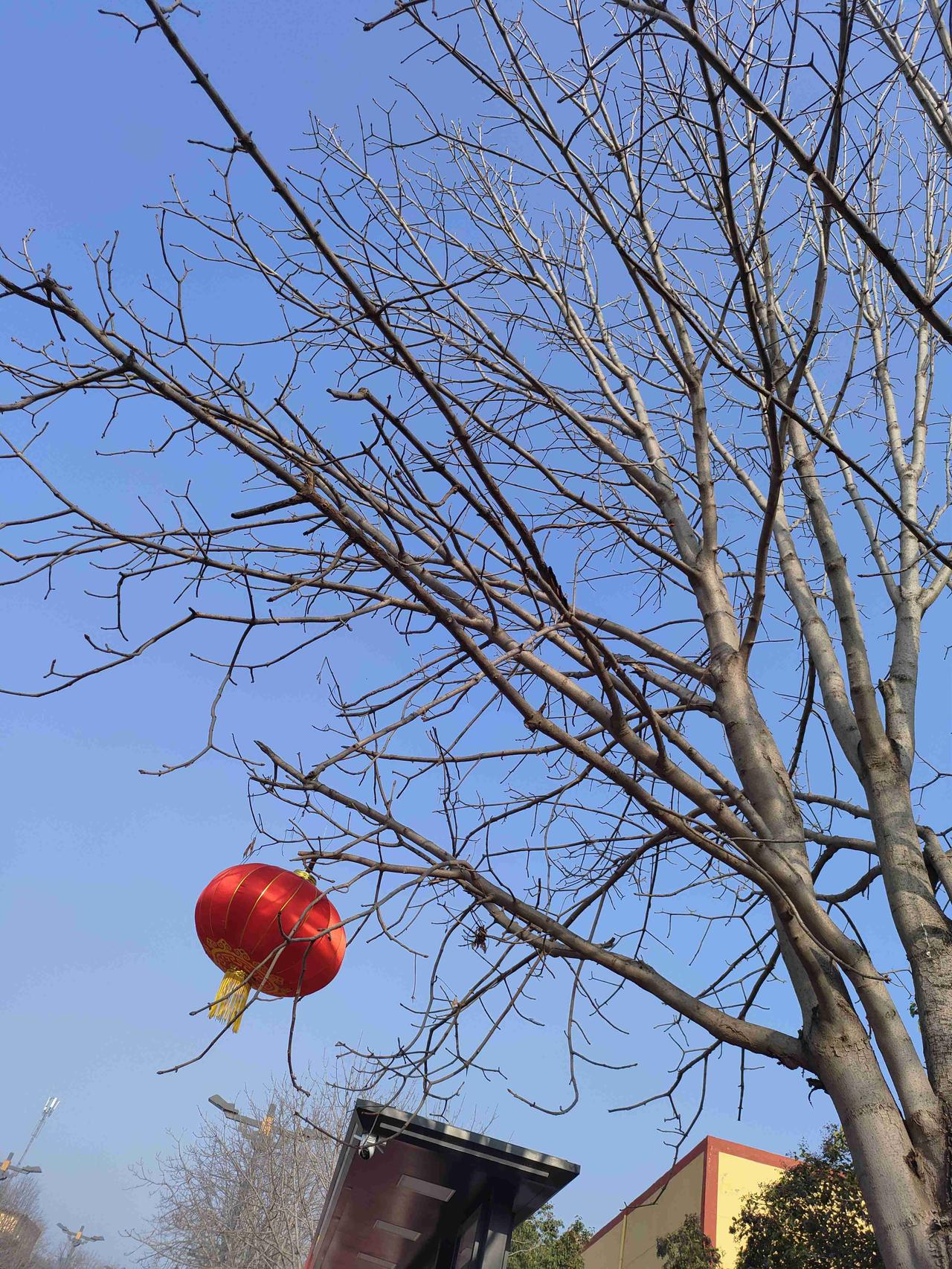 我的今日状态：😁轻松愉快
我这里的天气：☀️晴天