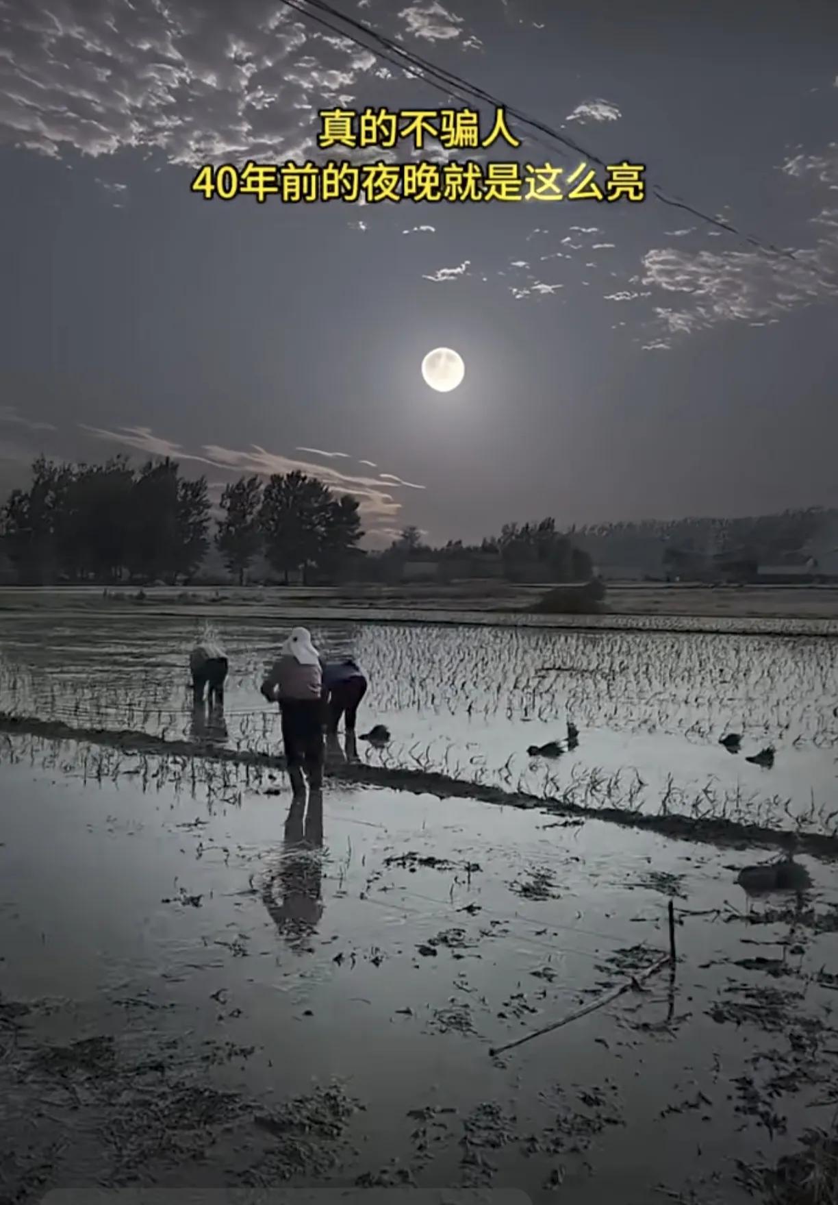 真的不骗人，以前的农村夜晚就是这么亮！听到这熟悉的声音，看到这场景，小时候的记忆