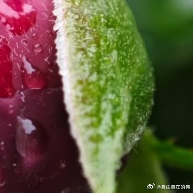 阳光信用 ☀️想涨ygxy的可以来和我互动啦🉑转 🉑评 🉑蹭  ☀️极好7