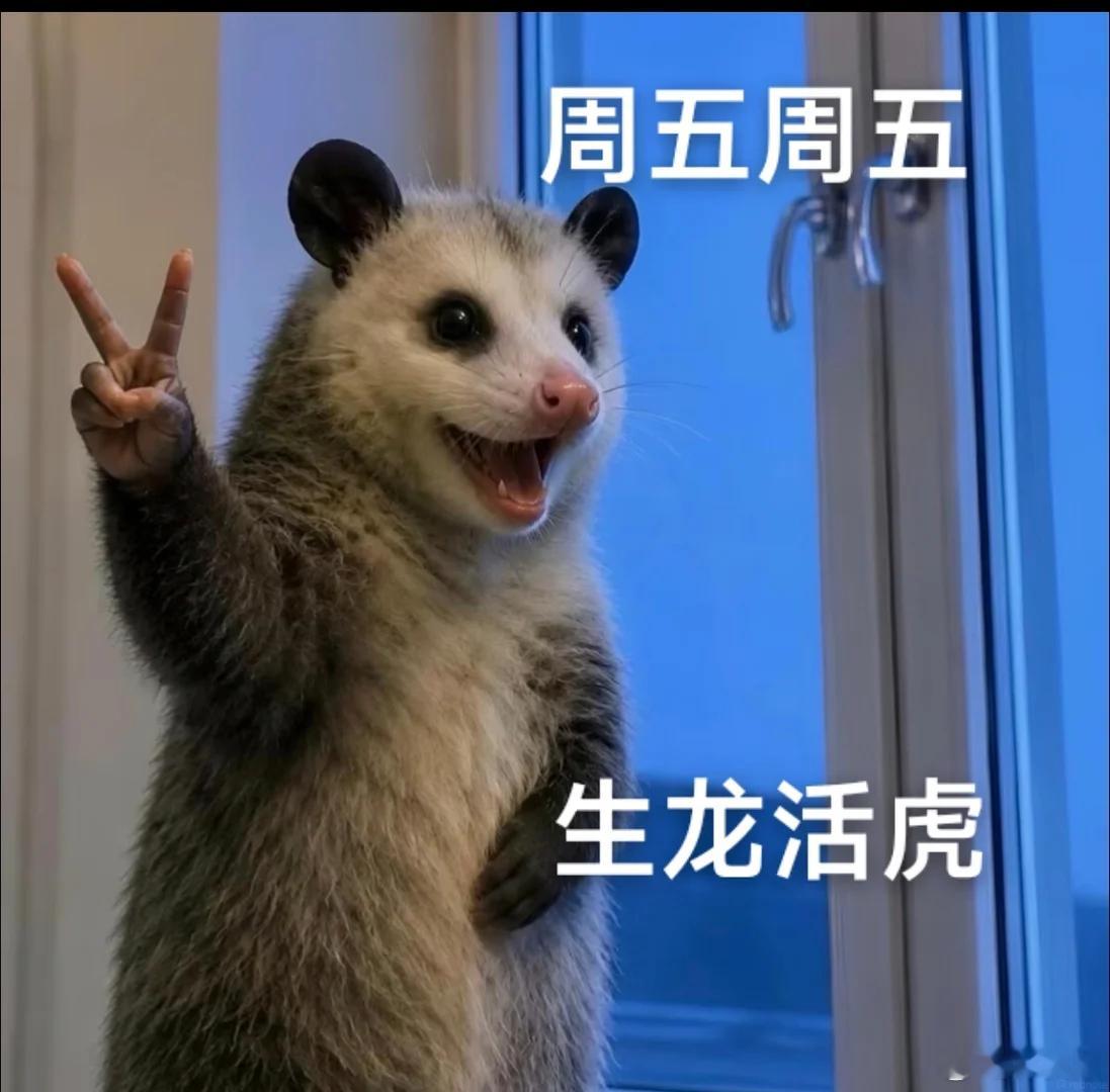 想要摘高处的果子，就要承担掉下来的风险。昨晚的冷门虽然没抓到，但也给自己积累一次