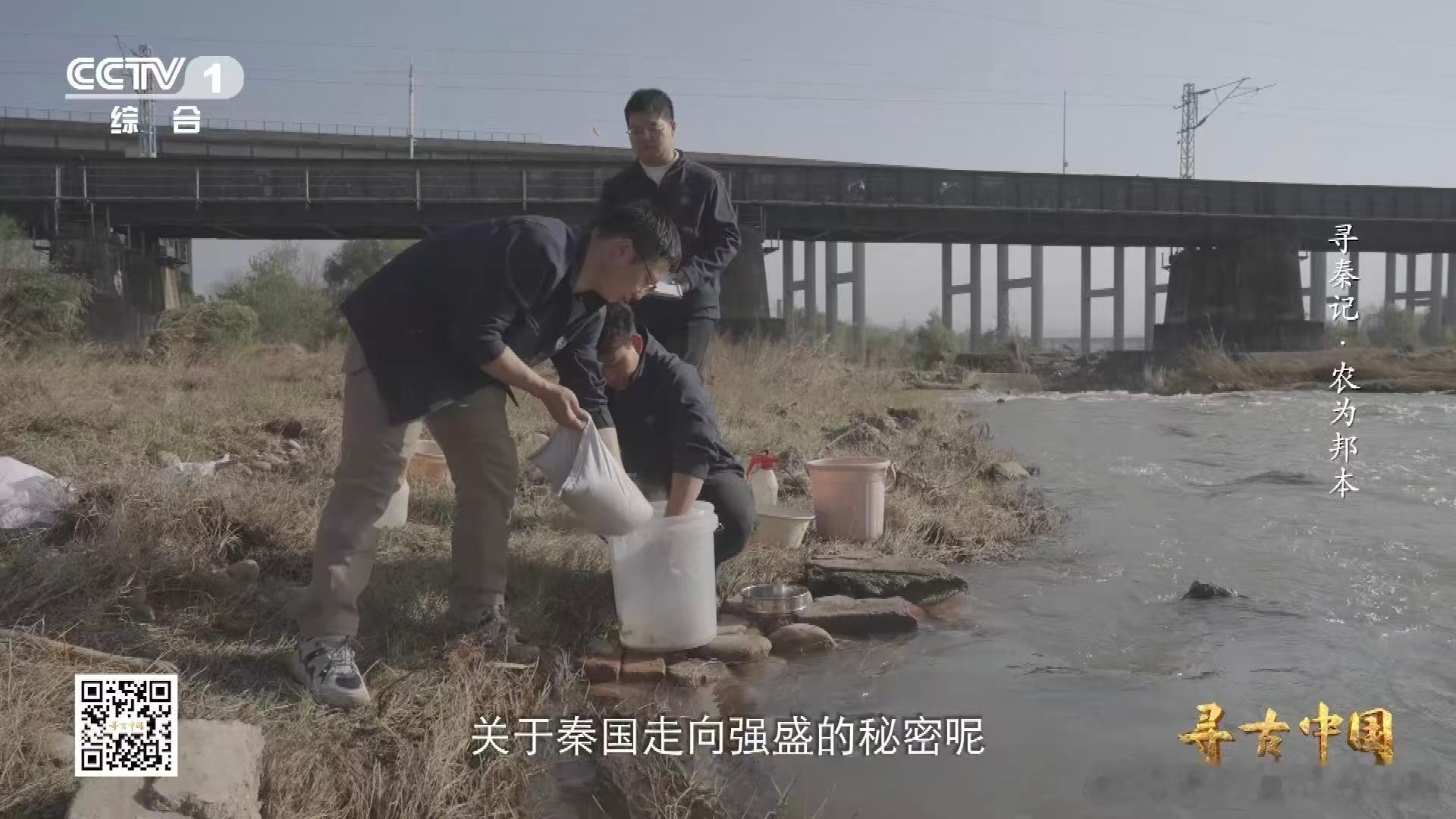 从3升土里淘出秦人食谱 陕西宝鸡魏家崖遗址的灰坑也太神奇了，看着就是普通的土坑，